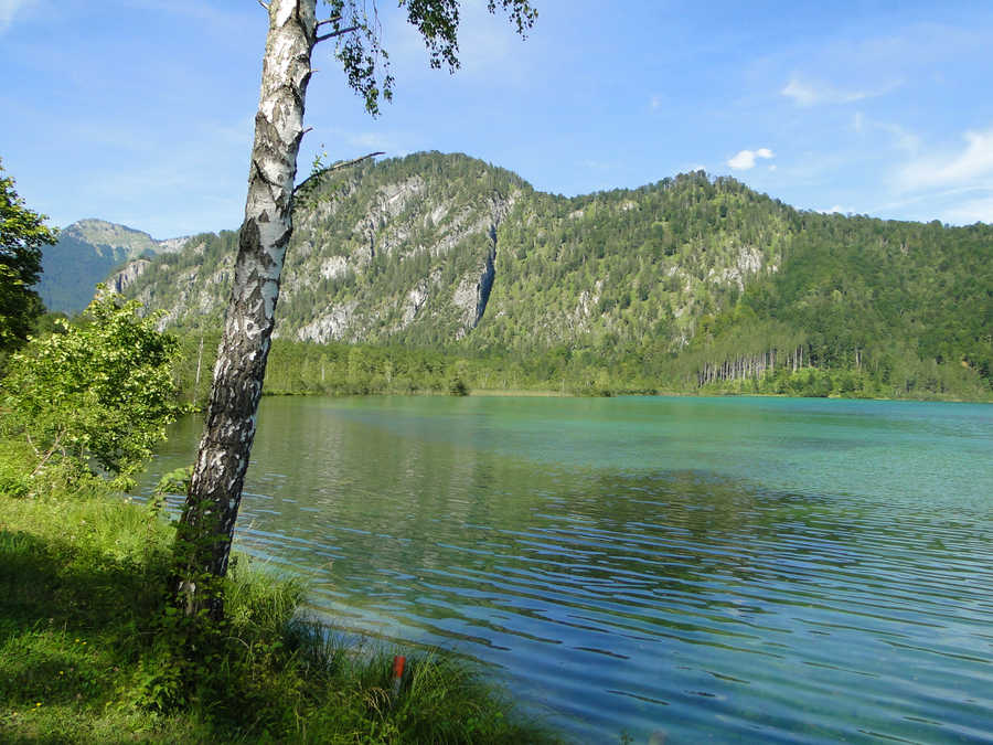 Der Almsee bei Grünau im Almtal