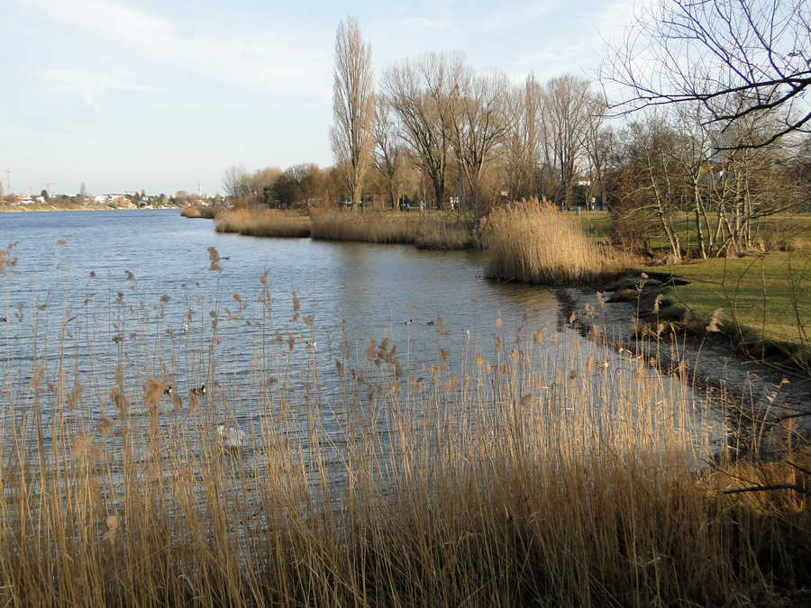 Alte Donau - Angeln in Wien