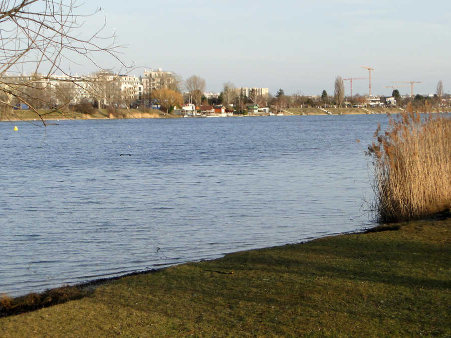 Die Alte Donau in Wien