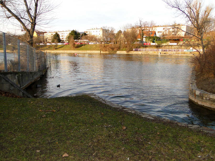 Alte Donau im 21 Wiener Bezirk