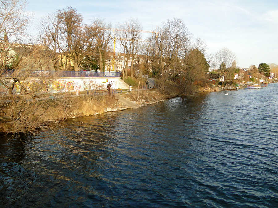 Fischen an der Alten Donau