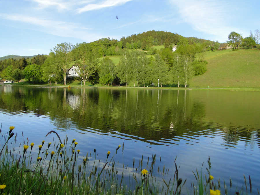 Badesee Waldhausen - Blick vom Westufer auf das Ostufer