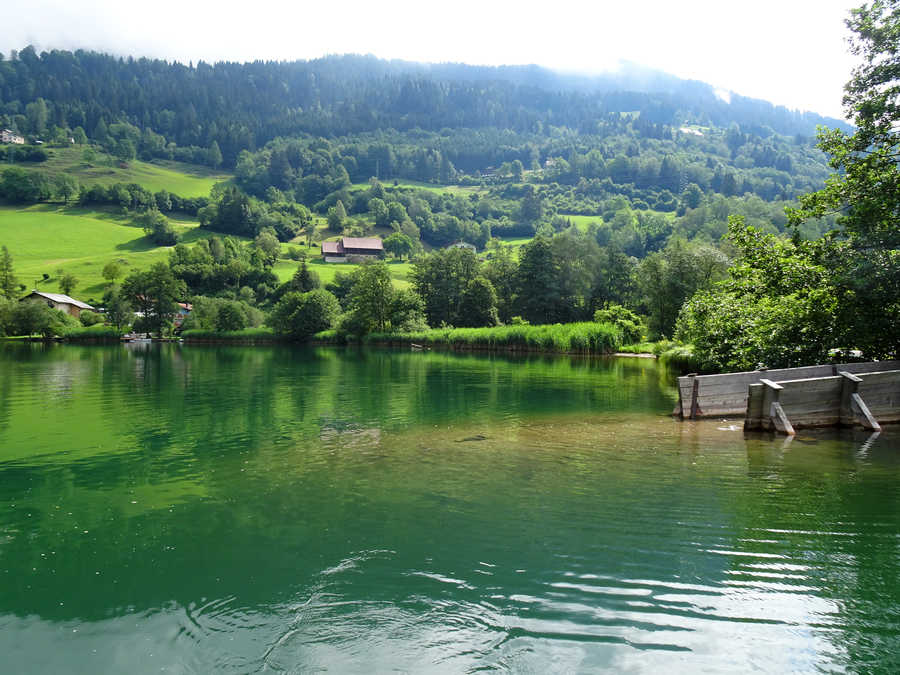 Brennsee - Mündung vom Erlachbach in den See