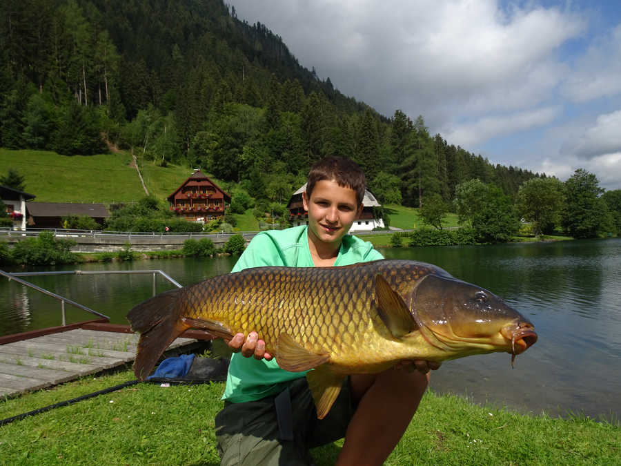 Am Brennsee gibt es auch dicke Karpfen