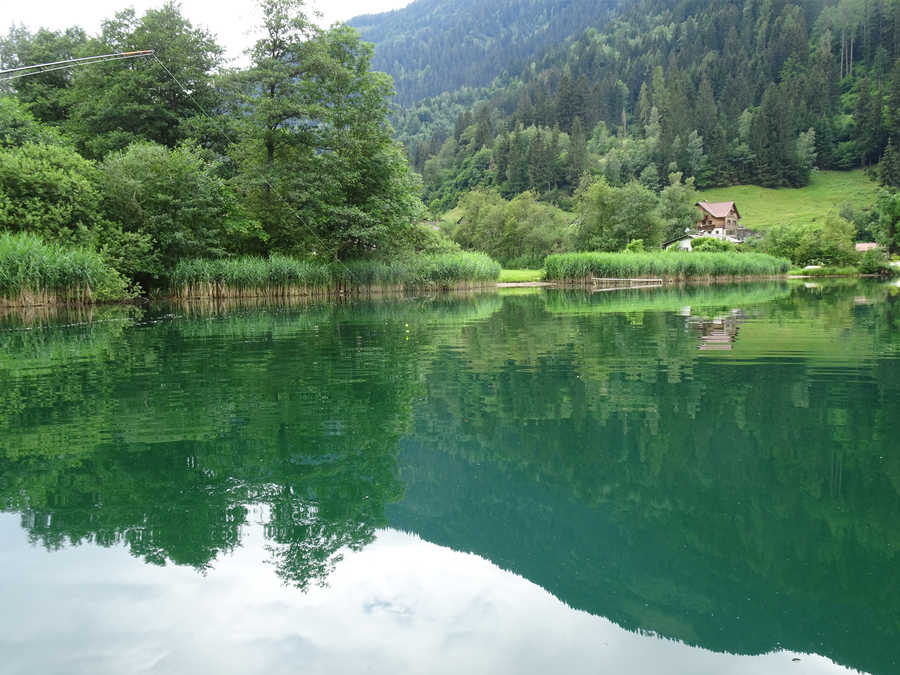 Brennsee Uferereich im Süden vom See.