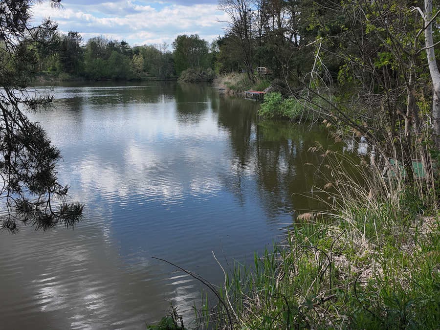 Karpfenfischen am Teich in Dobersdorf