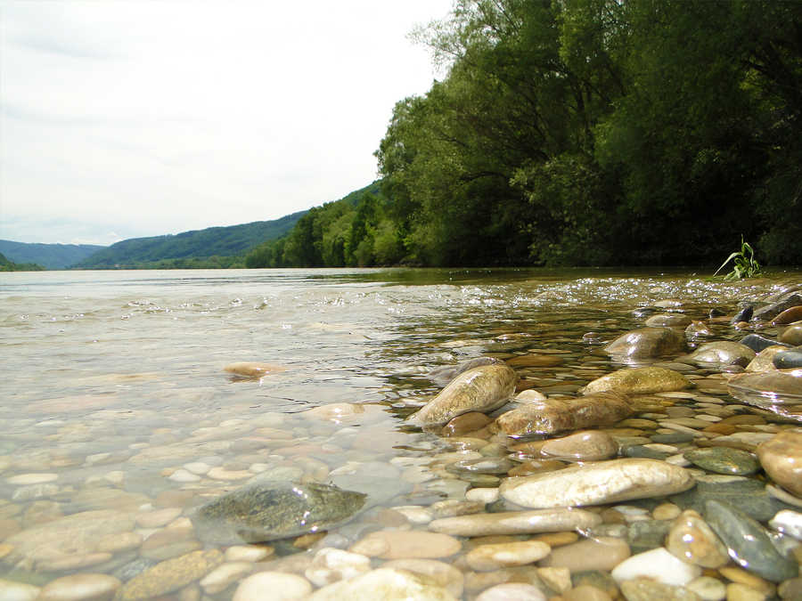 Die Donau unterhalb von Schwallenbach