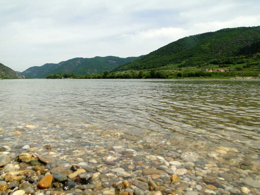 Die Donau zwischen Aggsbach und Spitz an der Donau
