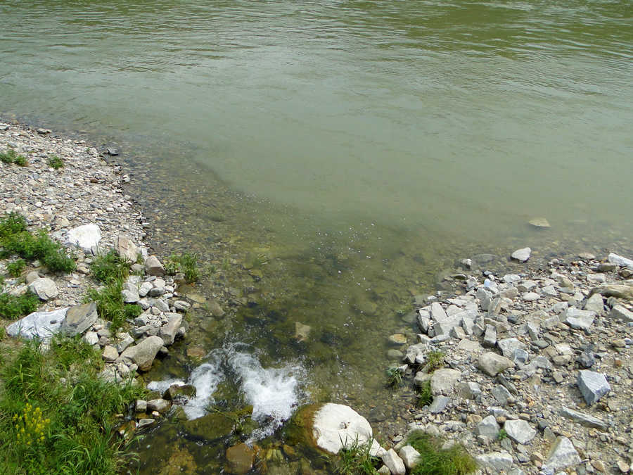 Spitzerbach Mündung in die Donau