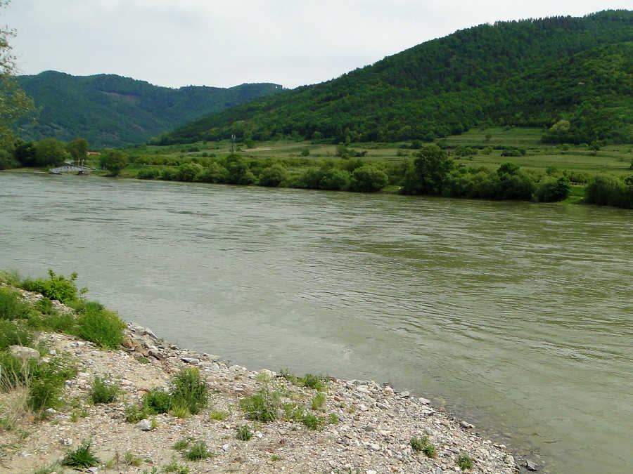 Die Donau in Spitz an der Donau