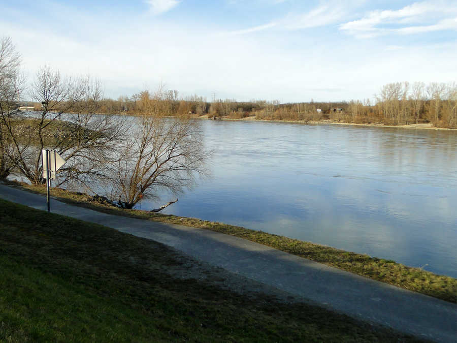 Obere Reviergrenze am rechten Donauufer - Mündung des Donaukanals in die Donau 