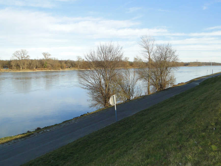 Die Donau beim Alberner Hafen