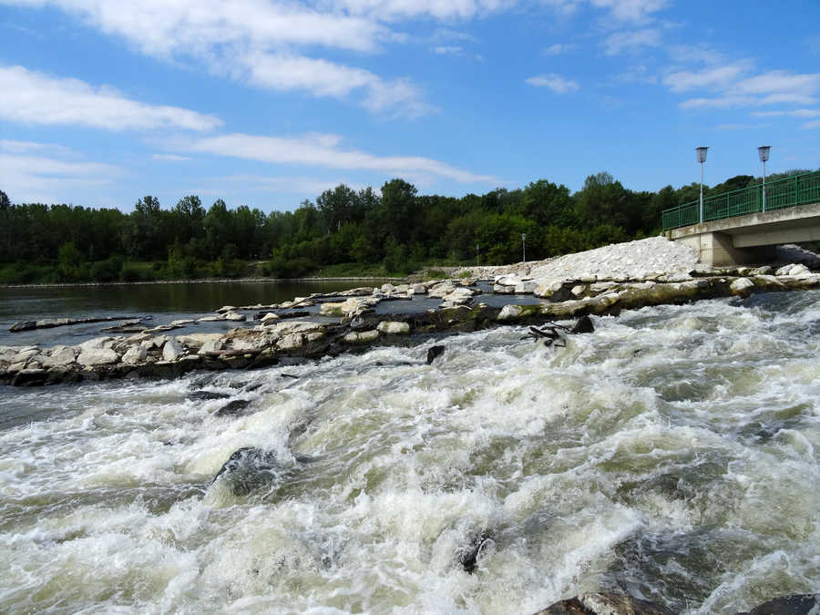 Verbindung des Altarmes mit der Donau