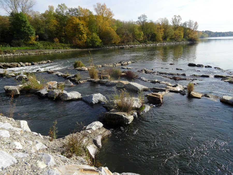 Fischtreppe in Altenwörth