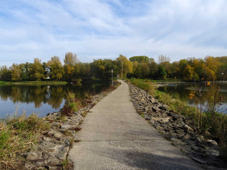 Altenwörth an der Donau - Weg zum rechten Altarmufer