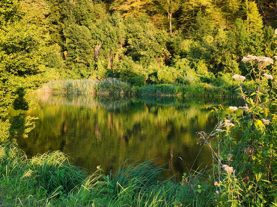 Der Hößgang Ausstand verläuft parallel zur Donau