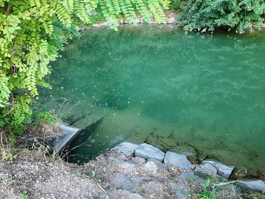 Verbindung - Hößgang Ausstand - Donau