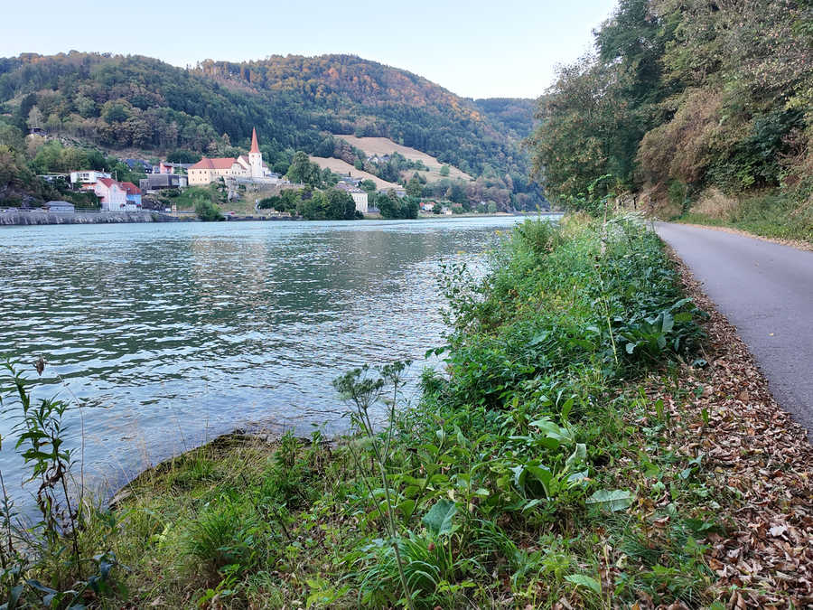 Donau Revier Freyenstein unterhalb vom Hößgang Ausstand