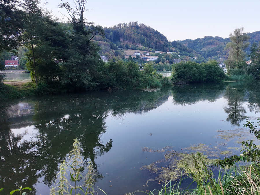 Der Hößgang-Ausstand ist ca 600 Meter lang und verläuft parallel zur Donau
