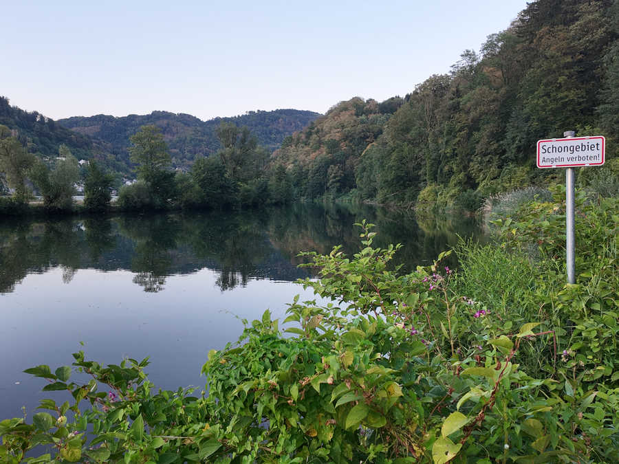 Im Hößgang Ausstand gibt es auch ein Schongebiet