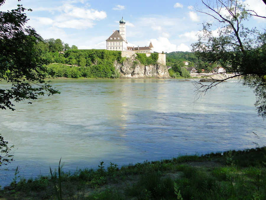 Das Revier Donau - Grimsing liegt direkt gegenüber von Schönbühel