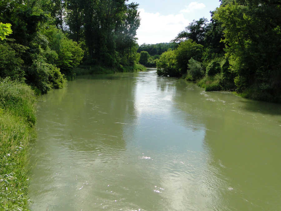 Durchströmter Nebenarm der Donau bei Grimsing