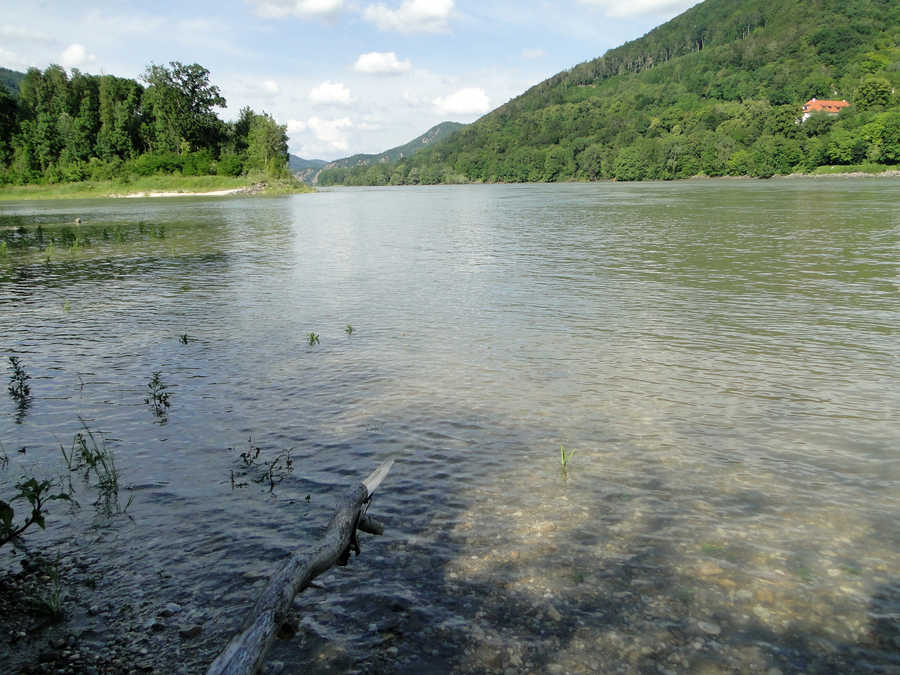 Die Donau bei Grimsing