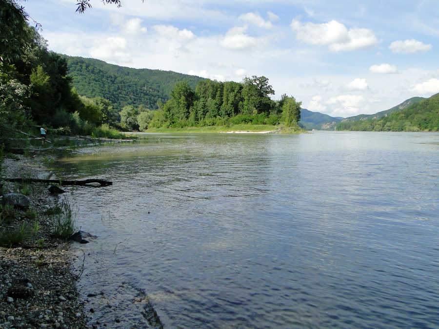 Donaurevier Grimsing