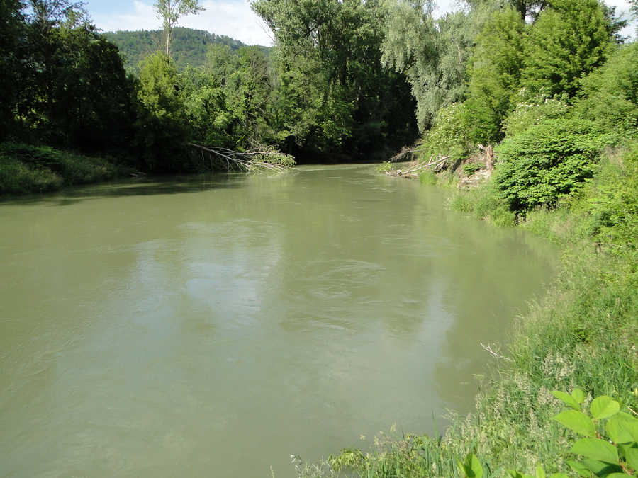 Nebenarm der Donau bei Grimsing