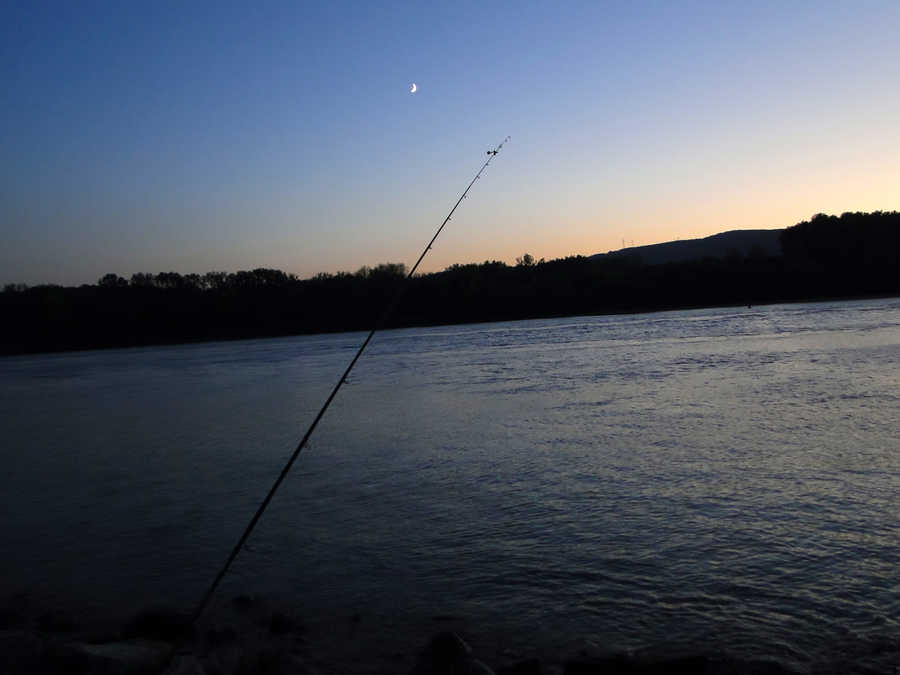 Nachtangeln in der Donau ist erlaubt