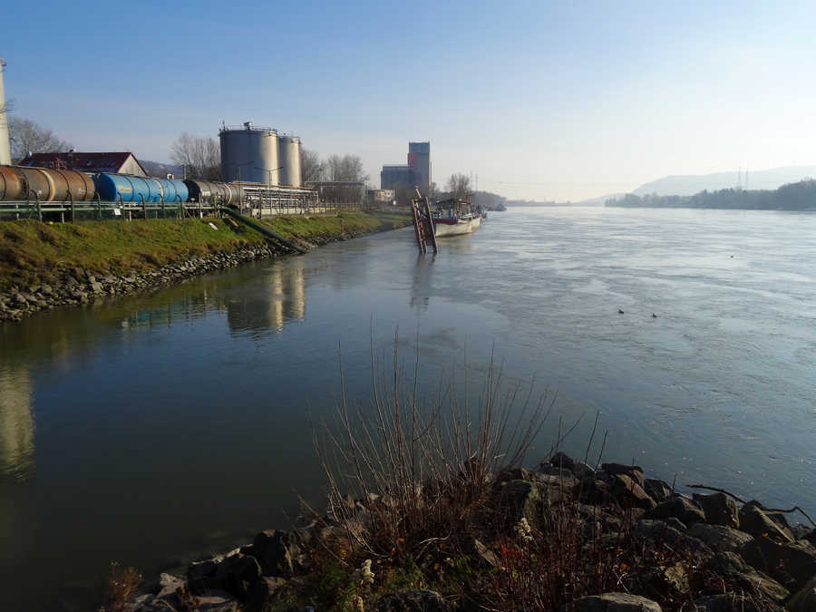 Fischen in der Donau bei Korneuburg