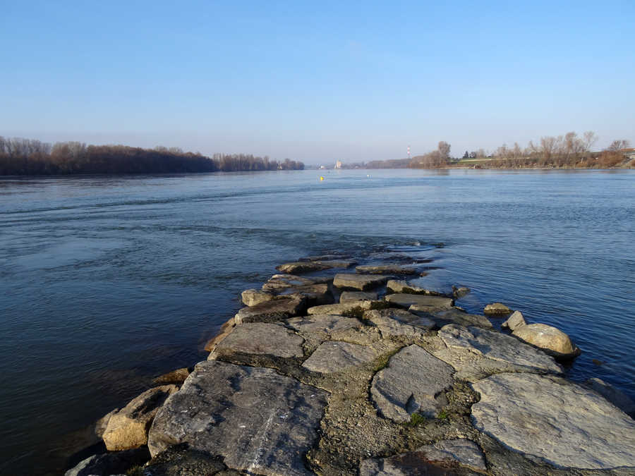 Donau oberhalb des Einlaufbauwerkes in die Neue Donau