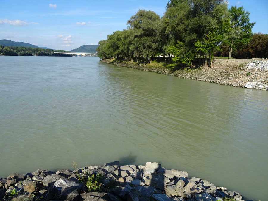 Fischen in Melk an der Donau (Militärhafen)