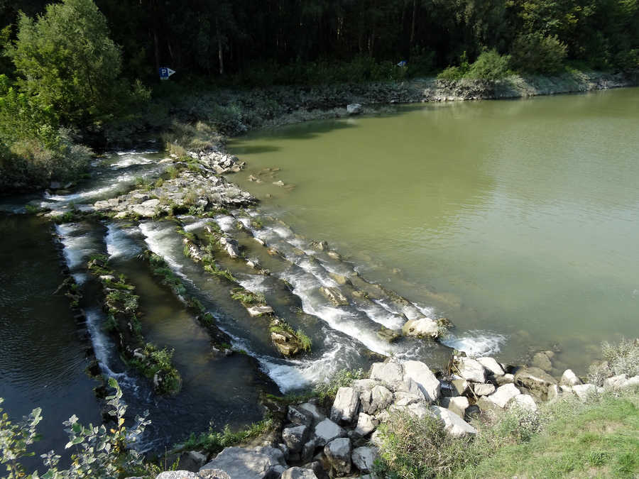 Die Fischtreppe in Melk 