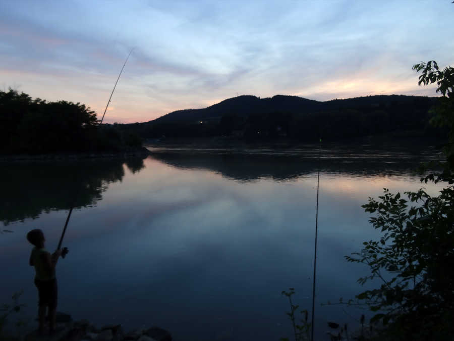 Nachtangeln in der Donau bei Melk