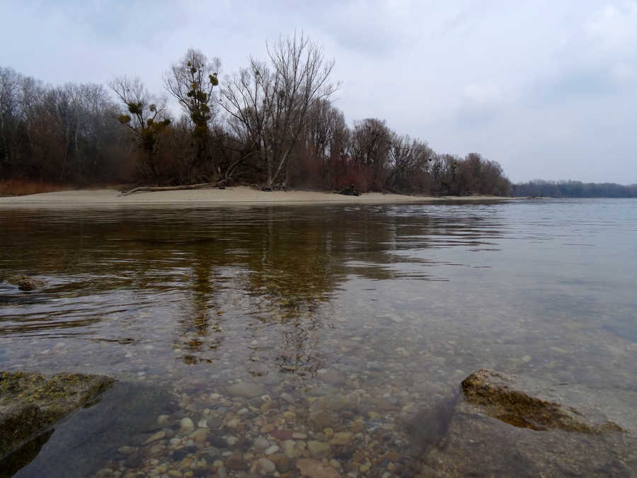 Donau bei Orth an der Donau