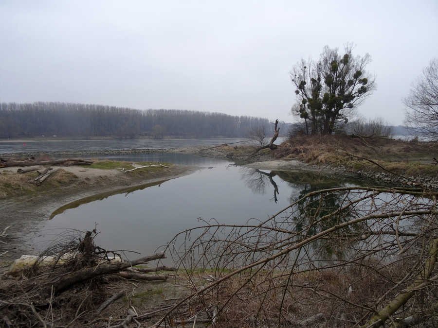 Inseln bei Ort an der Donau bei Niedrigwasser