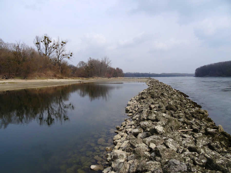 Donau bei Orth an der Donau