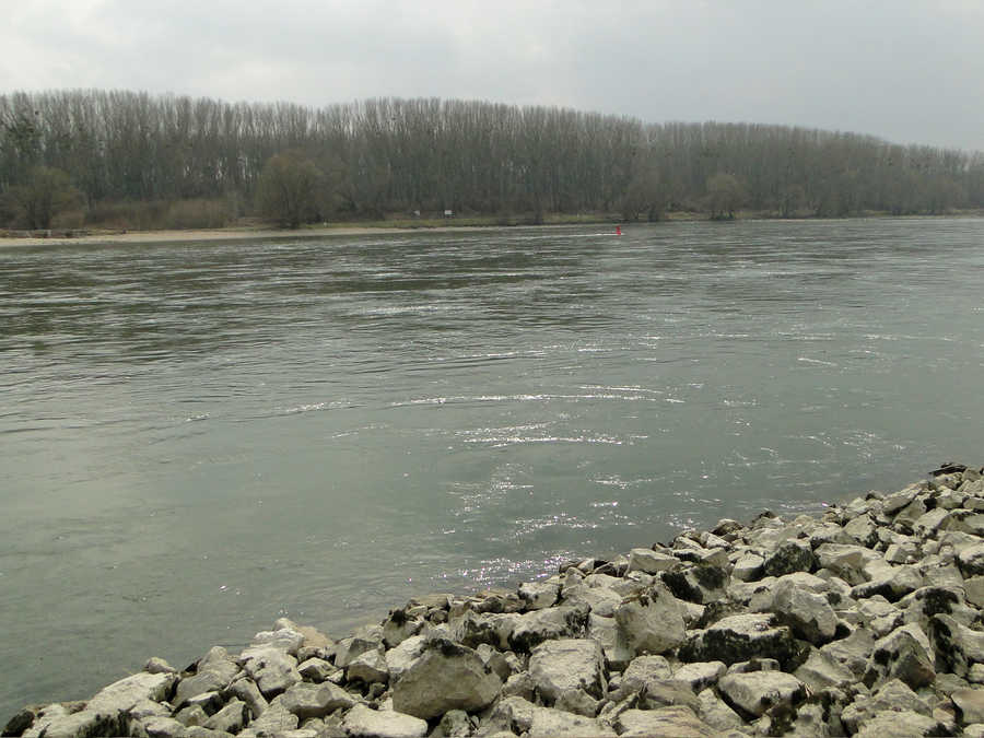 Donau unterhalb von Wien bei Orth