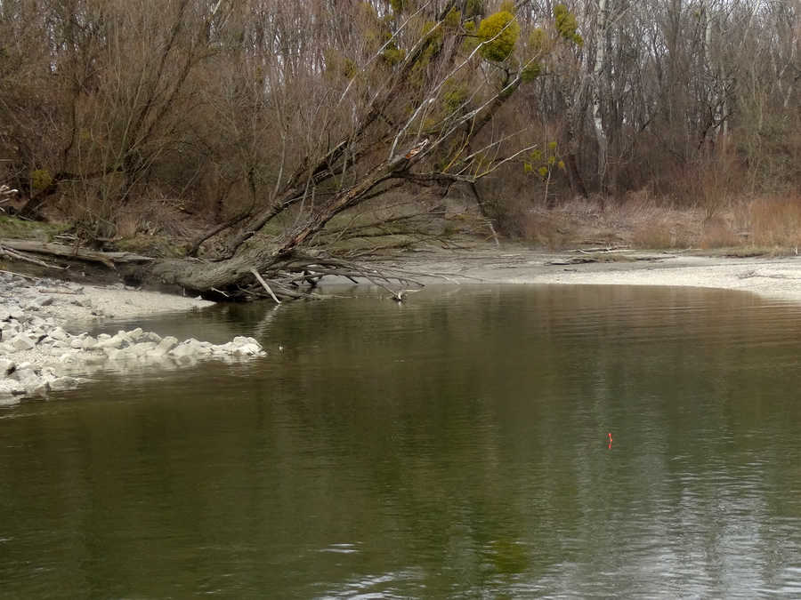 Dsas Revier in Orth liegt im Nationalpark Donau-Auen