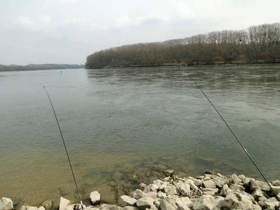 Donau im Revier Orth an der Donau