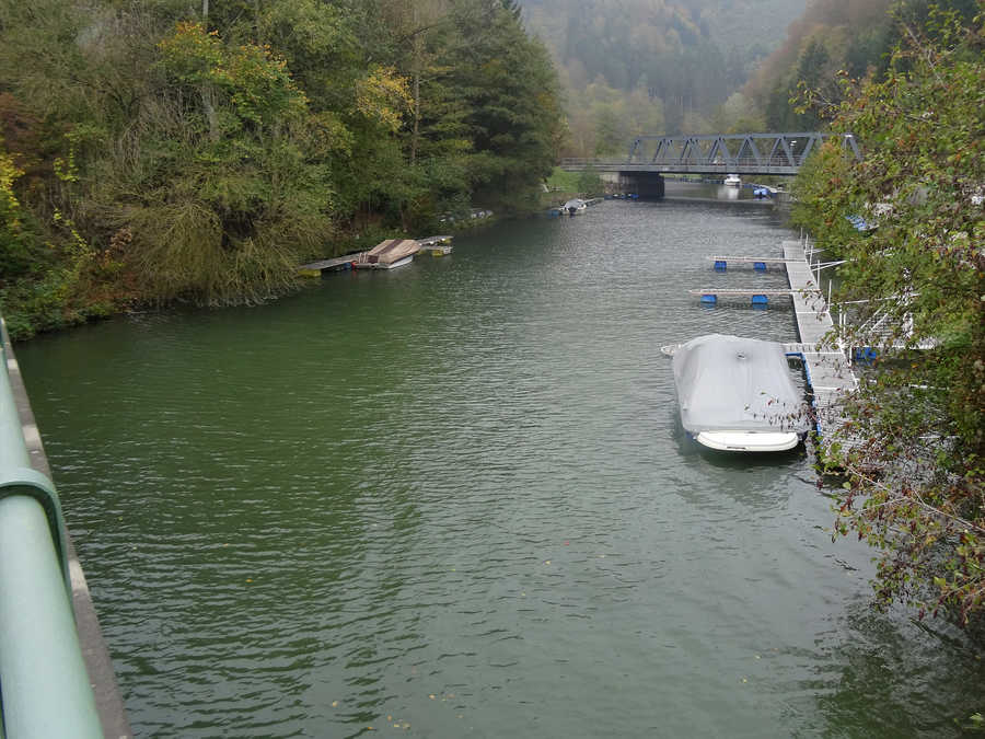 Die Yspereinmündung in Ysperdorf bis zur Eisenbahnbrücke ist im Revier enthalten.