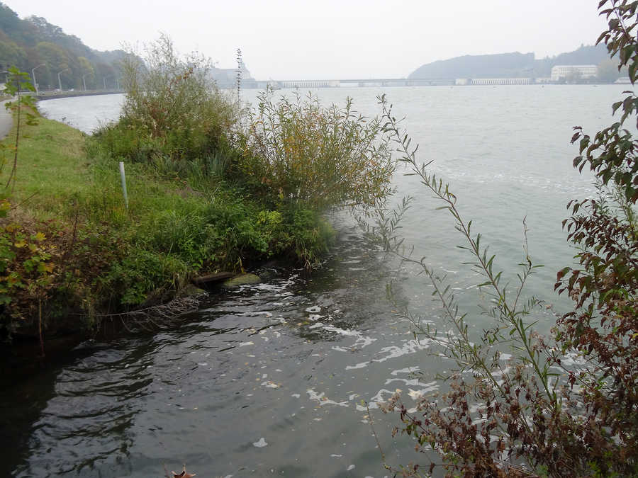 Donau oberhalb vom Kraftwerk Ybbs-Persenbeug