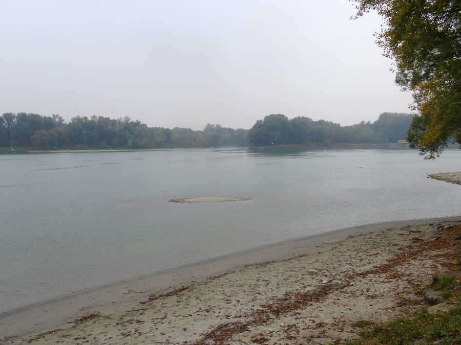 Donau gegenüber der Mündung der Ybbs in die Donau