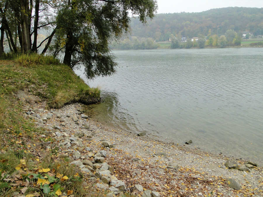 Donau oberhalb von Gottsdorf