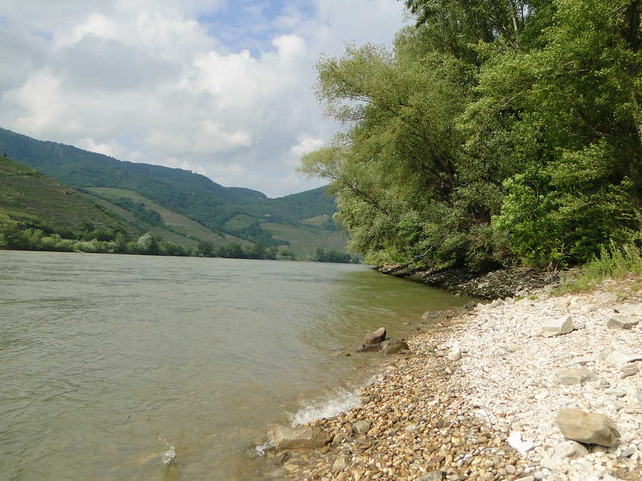 Fischen in der Donau bei Rossatz