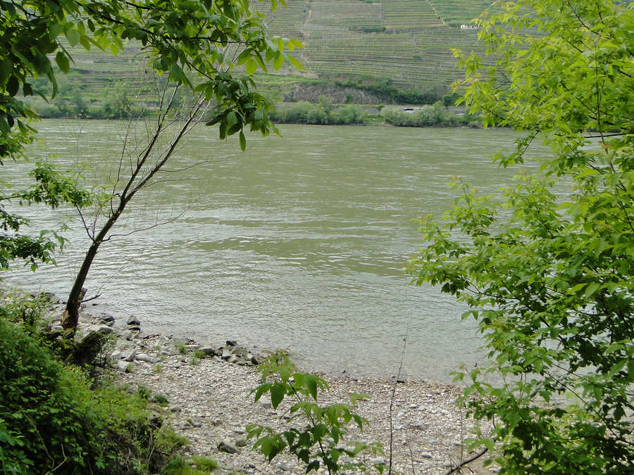 Donau