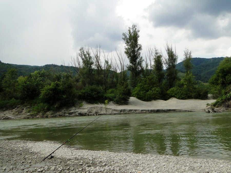 Donau Nebengerinne in Rossatz-Rührsdorf