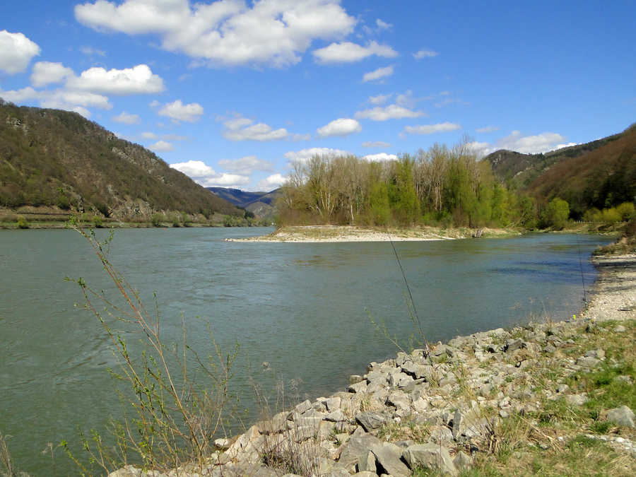 Fischen in Schönbühel an der Donau