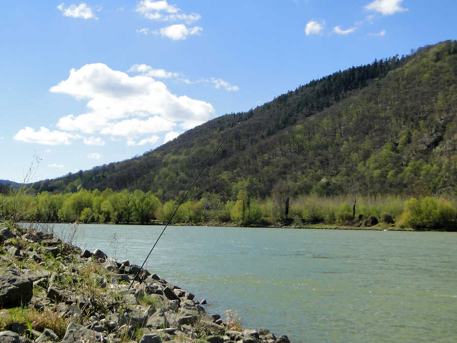 Angeln in Schönbühel an der Donau